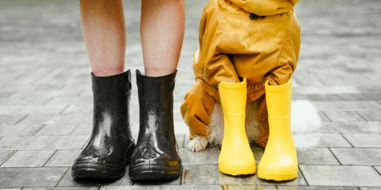 kalosze na deszczowe dni